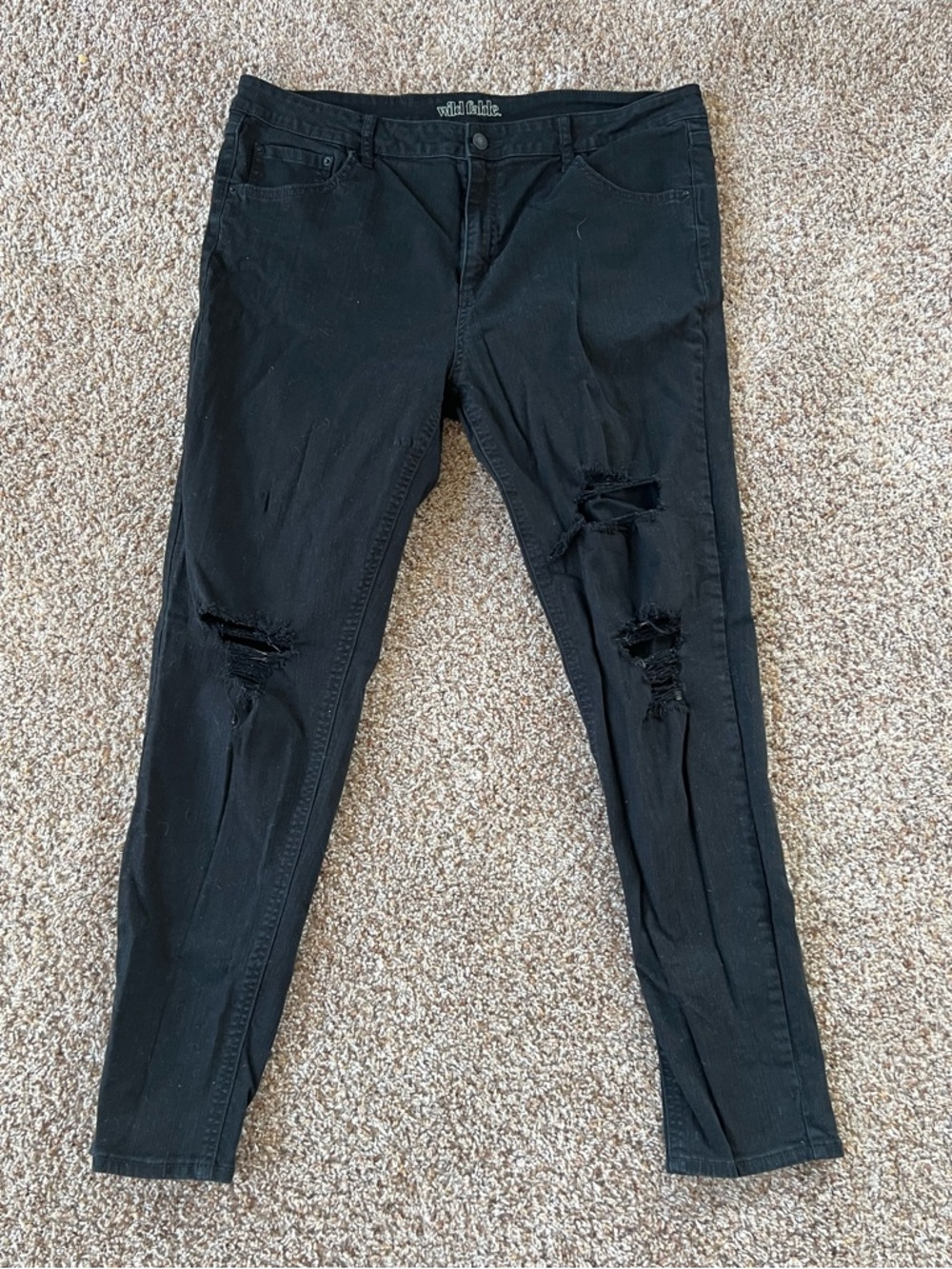 wild fable Black Ripped Skinny Jeans